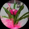 tulips1234